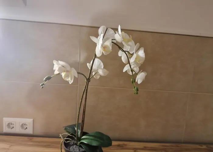 Apartmán Gent Vídeň